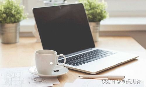 軟件企業(yè)偏愛外包測試的背后原因與費用揭秘